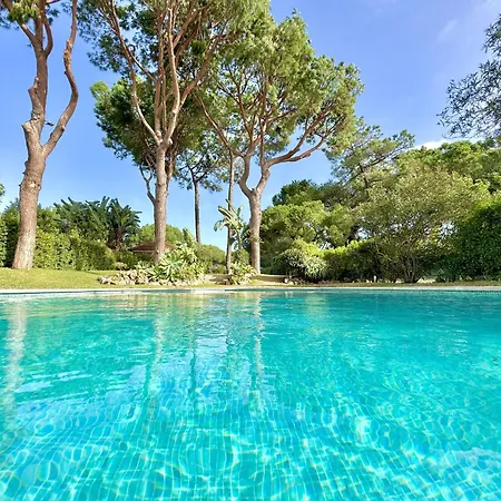 Amazing 2 With Pool By Homing